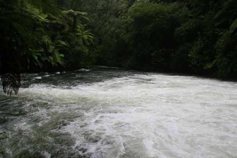 Nieuw-Zeeland 2011 - 0577